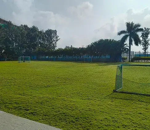 Zoom Room