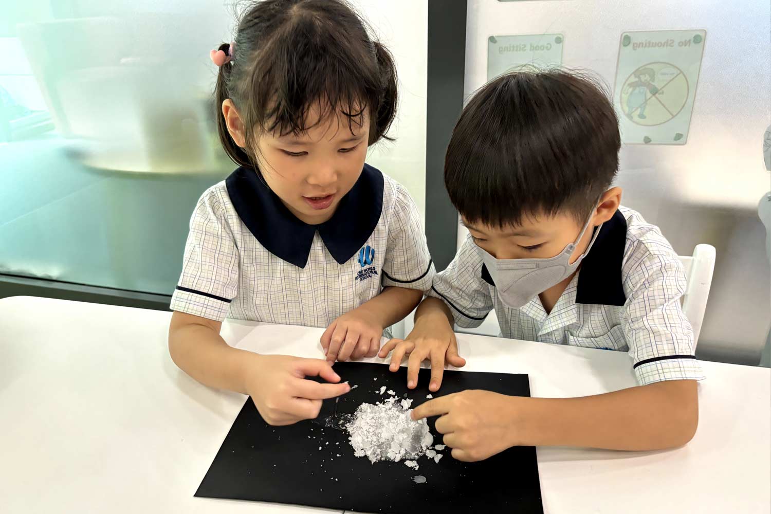 Developing-inquiry-skills.jpg